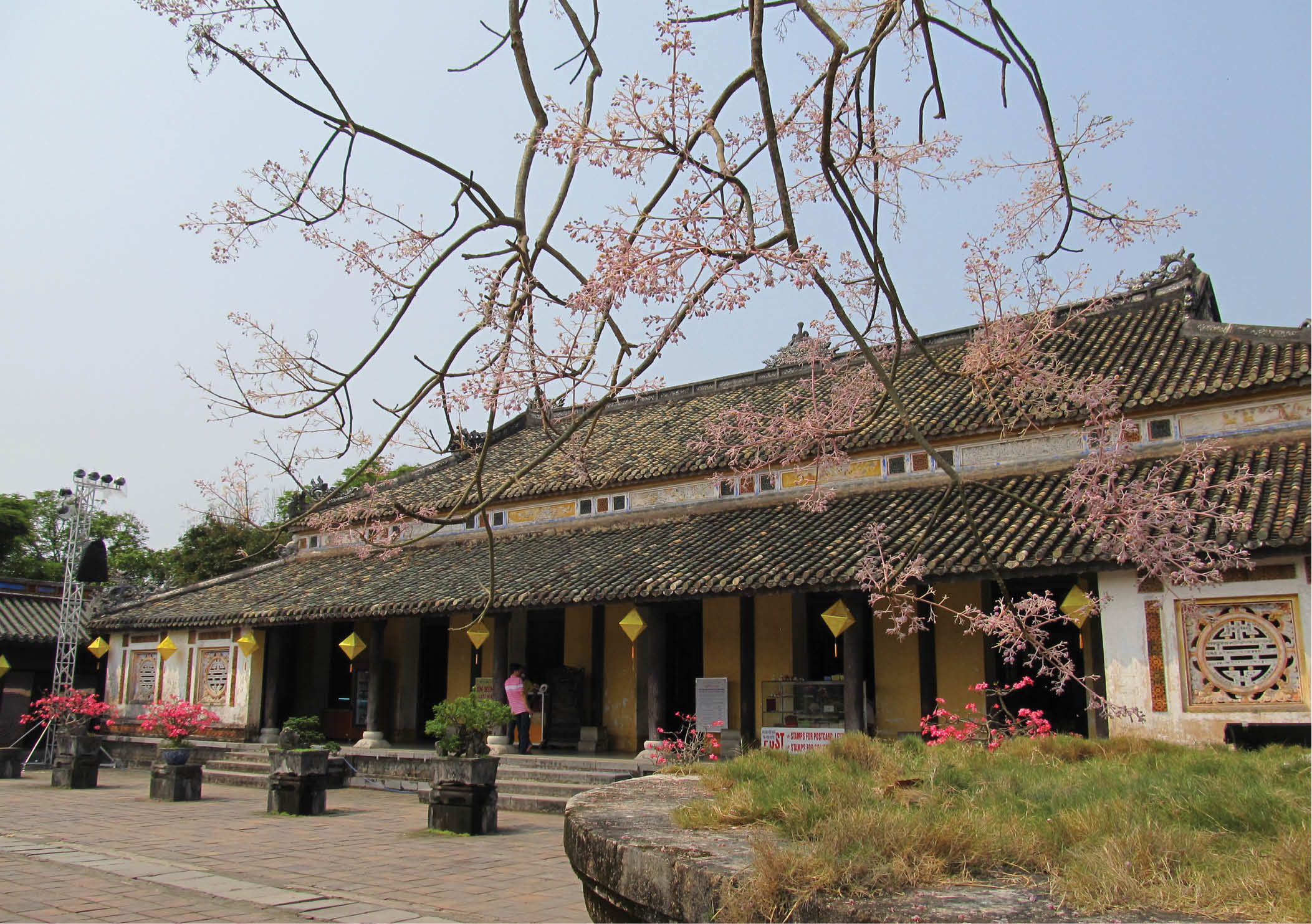 Đến hoa cỏ cũng phải khác người