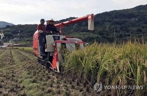 Hàn Quốc sẽ gửi 10 000 tấn gạo hỗ trợ Việt Nam