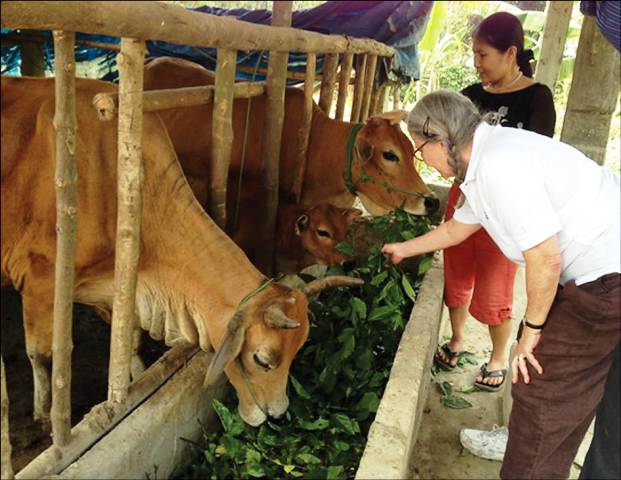 FAO supports livelihoods for nearly 2,200 poor households in Thua Thien Hue