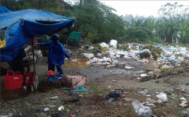 Sẽ di dời bãi rác ở cầu An Lỗ trong năm 2018