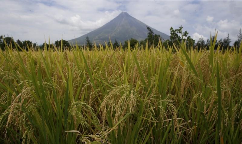 Philippines sơ tán người dân do núi lửa Mayon phun trào