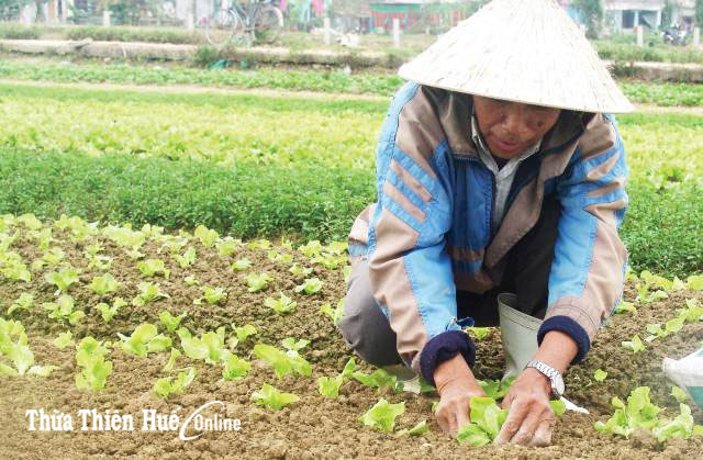 Hoàn cảnh đáng thương của cụ bà 70 tuổi