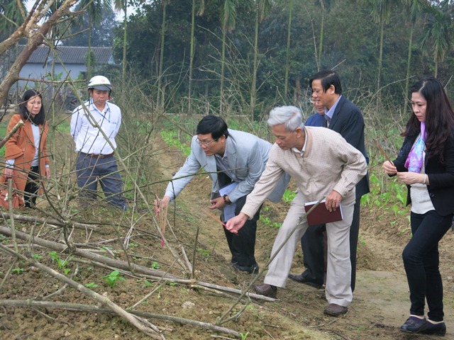 Tìm nơi nguyên táng đại thi hào Nguyễn Du