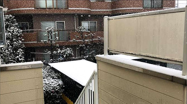 Tokyo đối mặt với tuyết rơi dày đặc