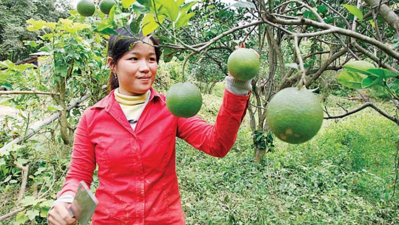 SDC Thụy Sĩ hỗ trợ 4,6 triệu USD cho dự án phát triển nông nghiệp của Lào