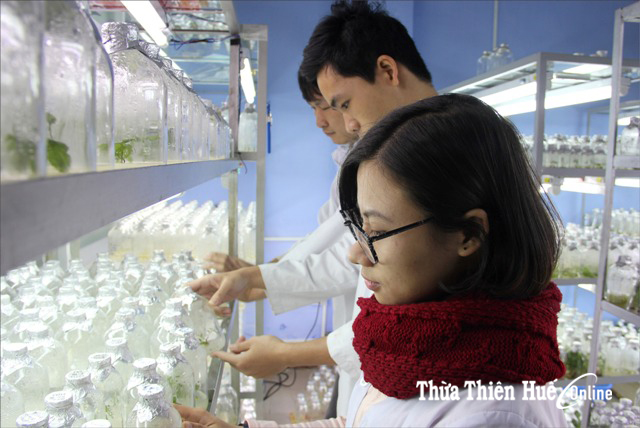 Khởi nghiệp cho sinh viên