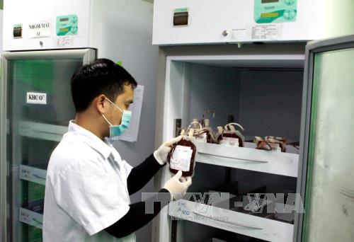 Lượng máu dự trữ đảm bảo điều trị khoảng 3 tuần sau Tết