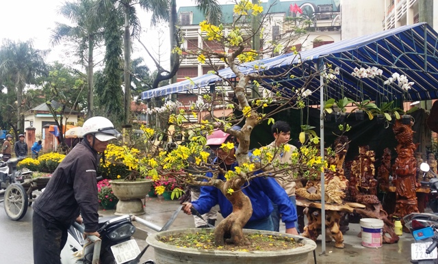 Xe ôm chở hoa “bội thu” dịp Tết