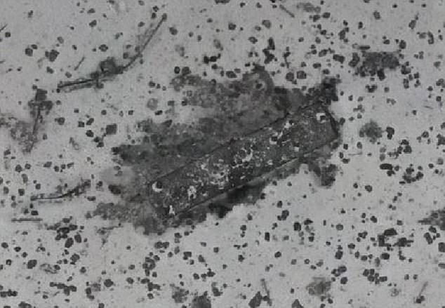 Phát hiện nghĩa địa tàu bí ẩn ở vùng tìm kiếm MH370
