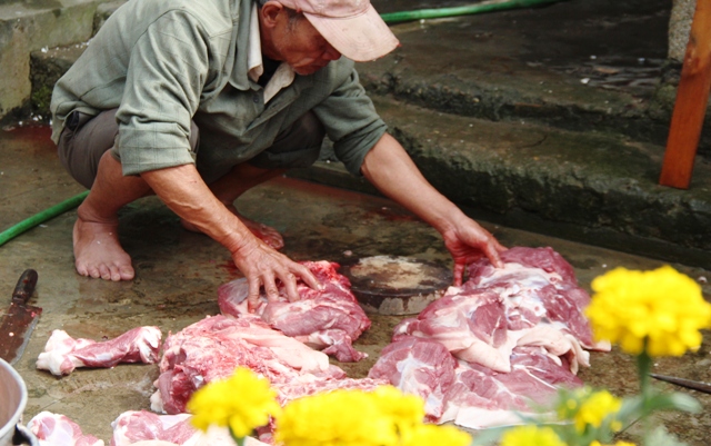 Đi chia heo đụng