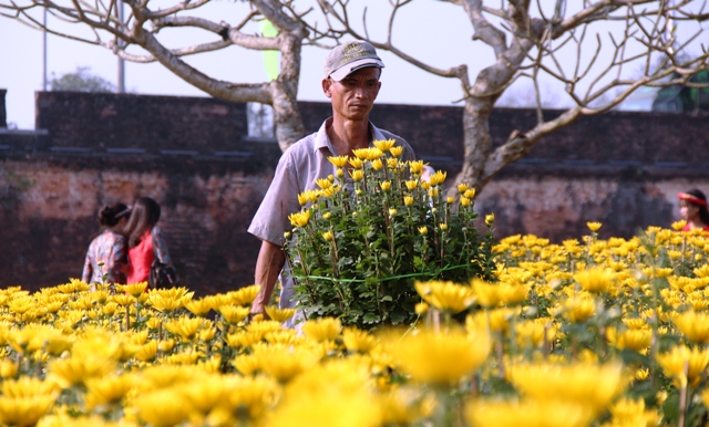 Ước nguyện mùa xuân