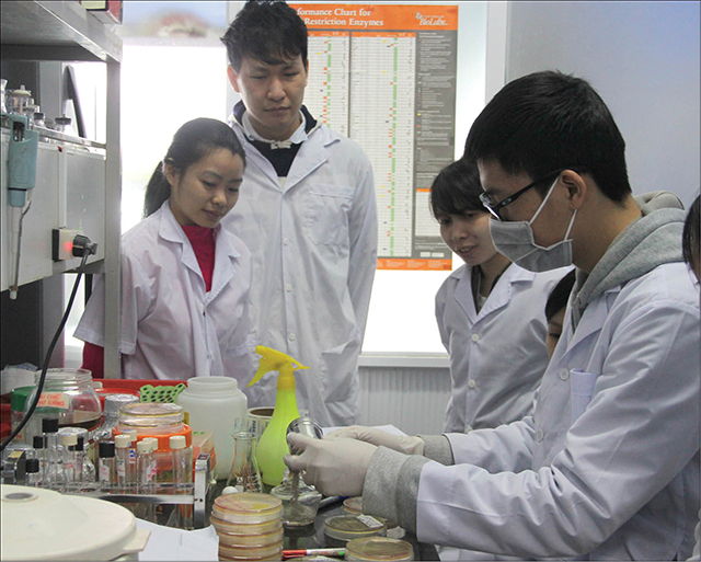 Đón cơ hội để vươn ra thế giới