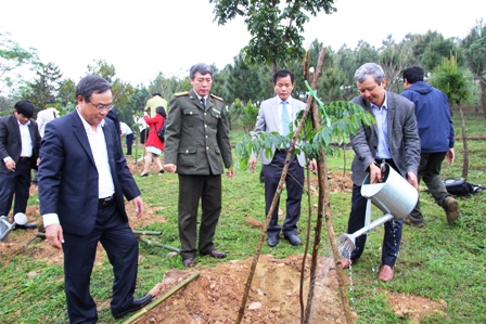 Growing 120 new ironwood trees at the Tree-growing Tet launching ceremony