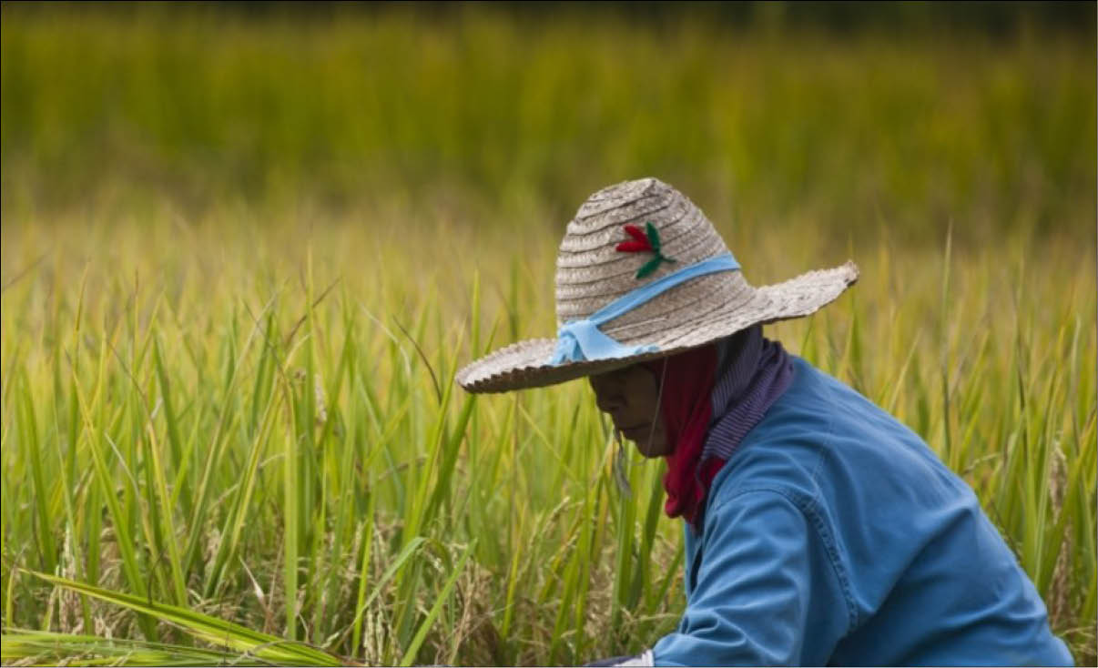 Phụ nữ và trẻ em gái - nhân tố quan trọng cho sự phát triển của thế giới