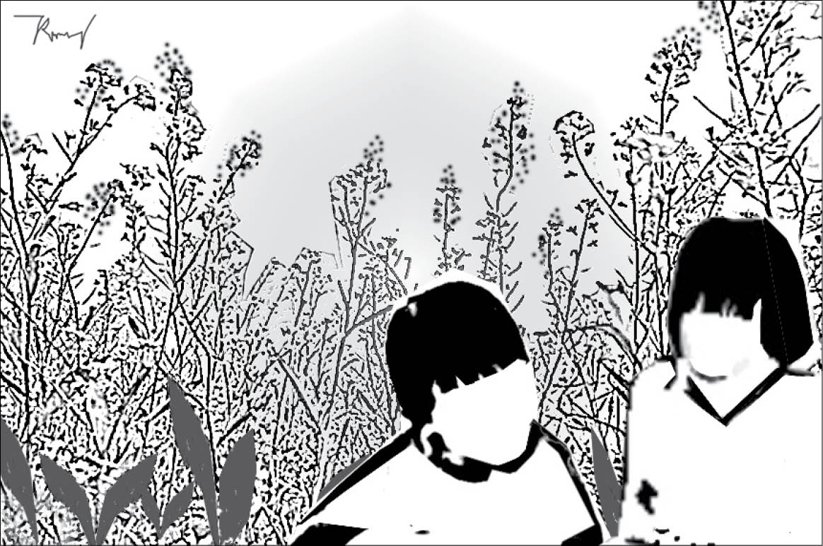 Sắc vàng hoa cải