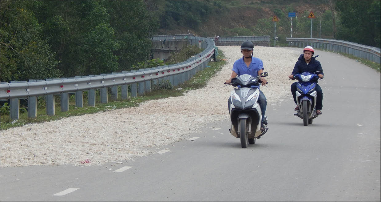 Biến đường thành “sân phơi” lông gia cầm