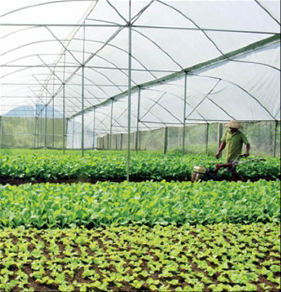 Phát triển khoa học không quên nền tảng đạo đức