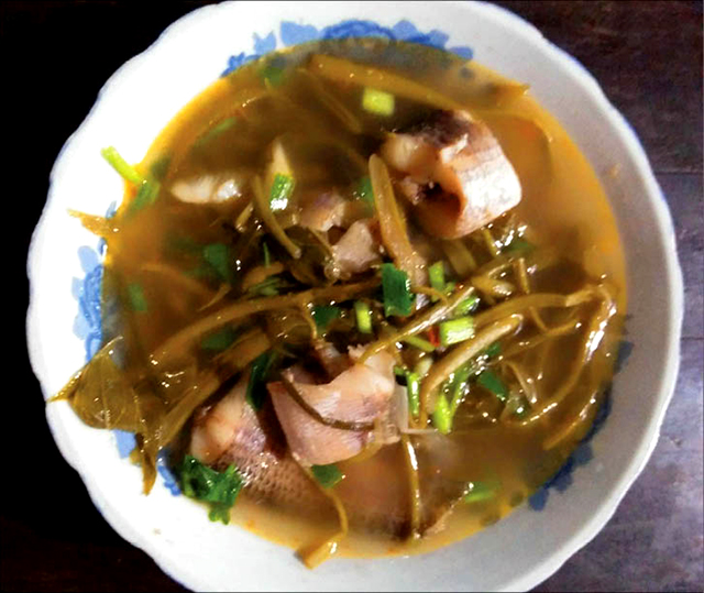 Thảo thơm “đọt đợi” quê nhà