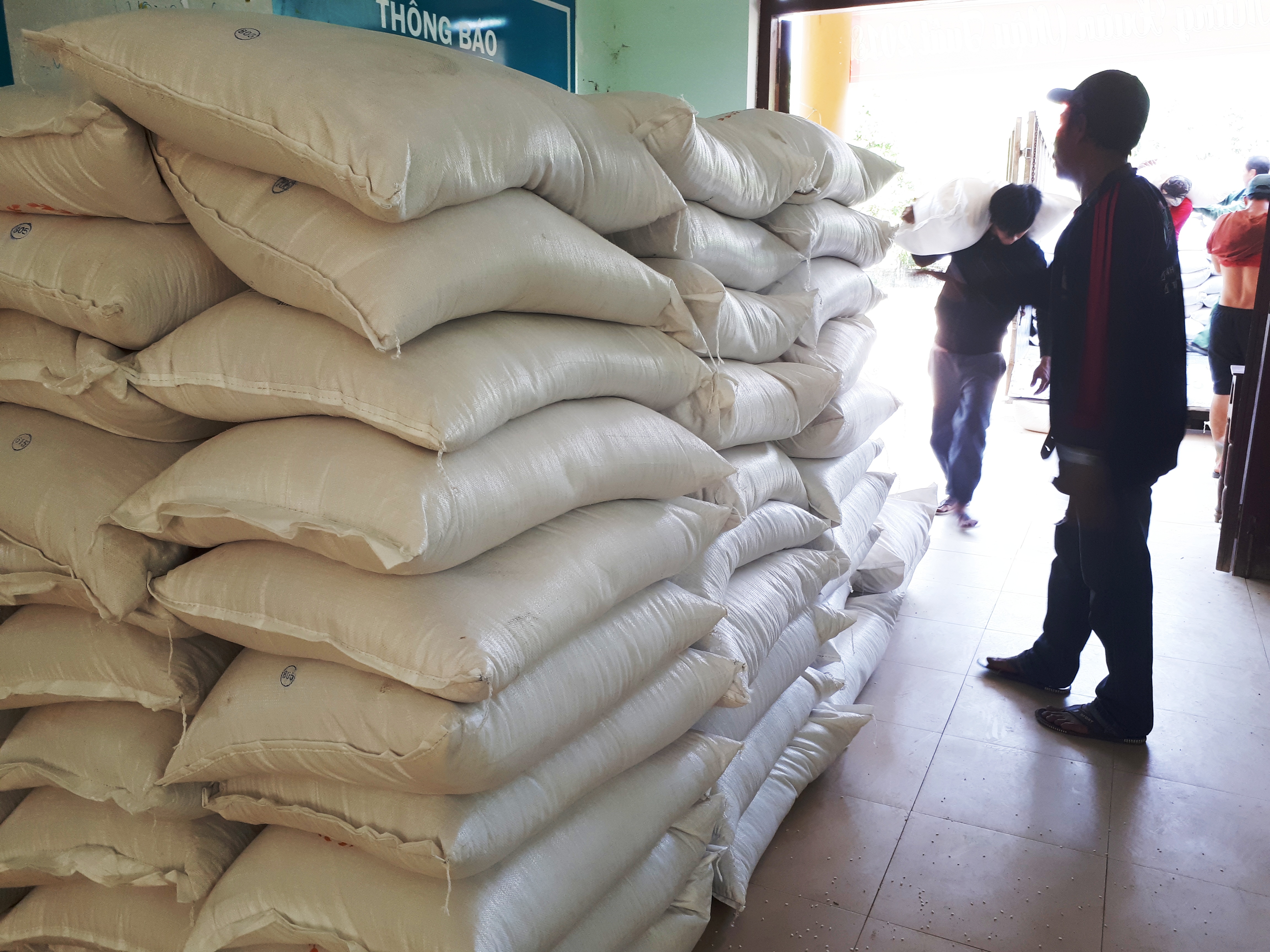 Các địa phương phân bổ 1 500 tấn gạo do Hàn Quốc tài trợ đến người dân