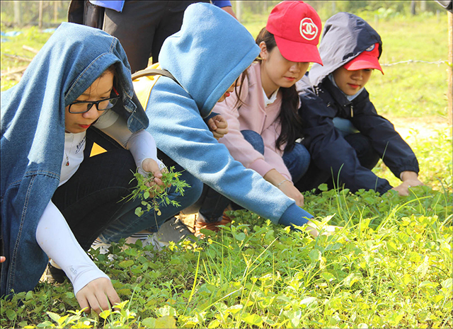 Trải nghiệm khởi nghiệp