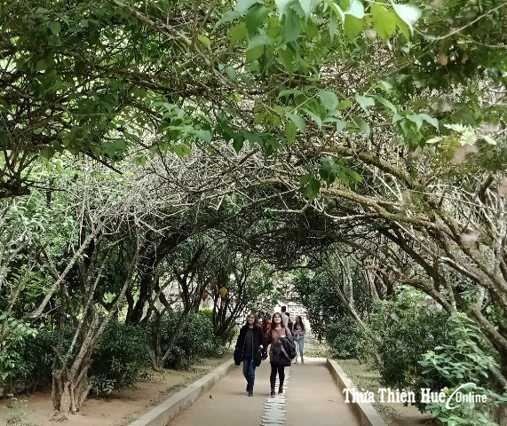 Dưới mái An Hiên