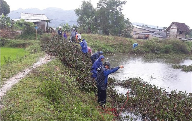 Tuổi trẻ xung kích