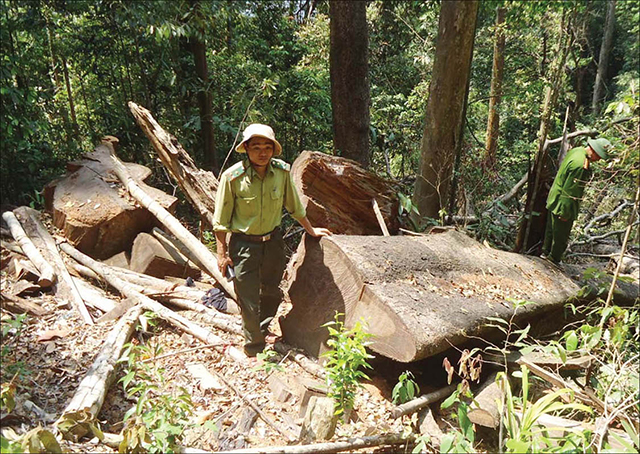 Không ngại khó, ngại khổ