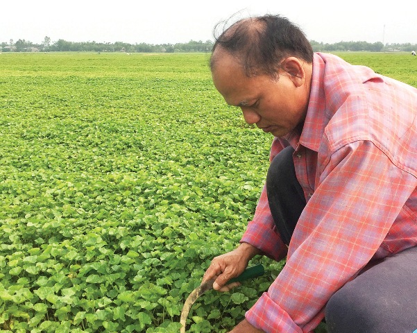 Họ đứng ở vị trí tiên phong