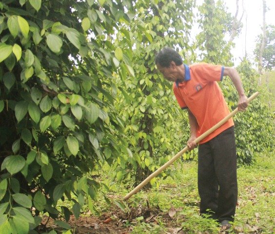 Bản “điểm sáng”