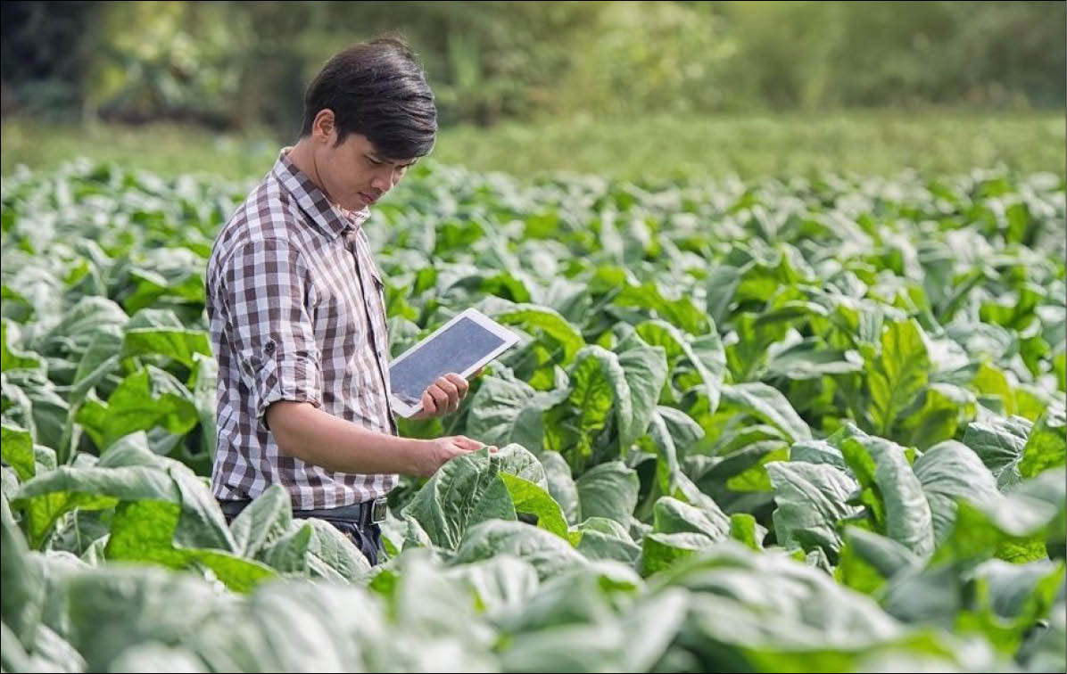 Vai trò của công nghệ trong tăng trưởng xanh ở khu vực tiểu vùng sông Mekong mở rộng