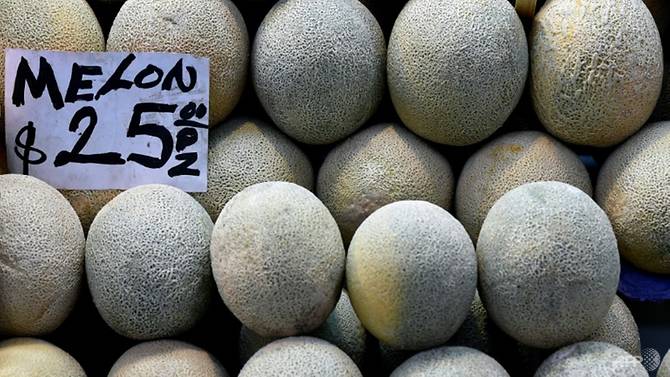 Australia thu hồi dưa lưới nhiễm khuẩn Listeria tại 9 quốc gia