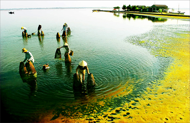 Đợi chờ “Sóng nước Tam Giang”