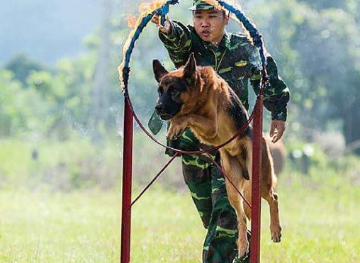 Huấn luyện “vũ khí đặc biệt”