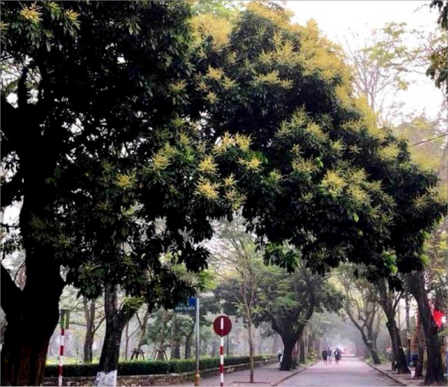Tuổi thơ một thuở