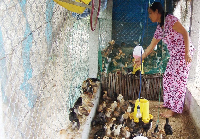 Nhìn thẳng vào hạn chế để khắc phục