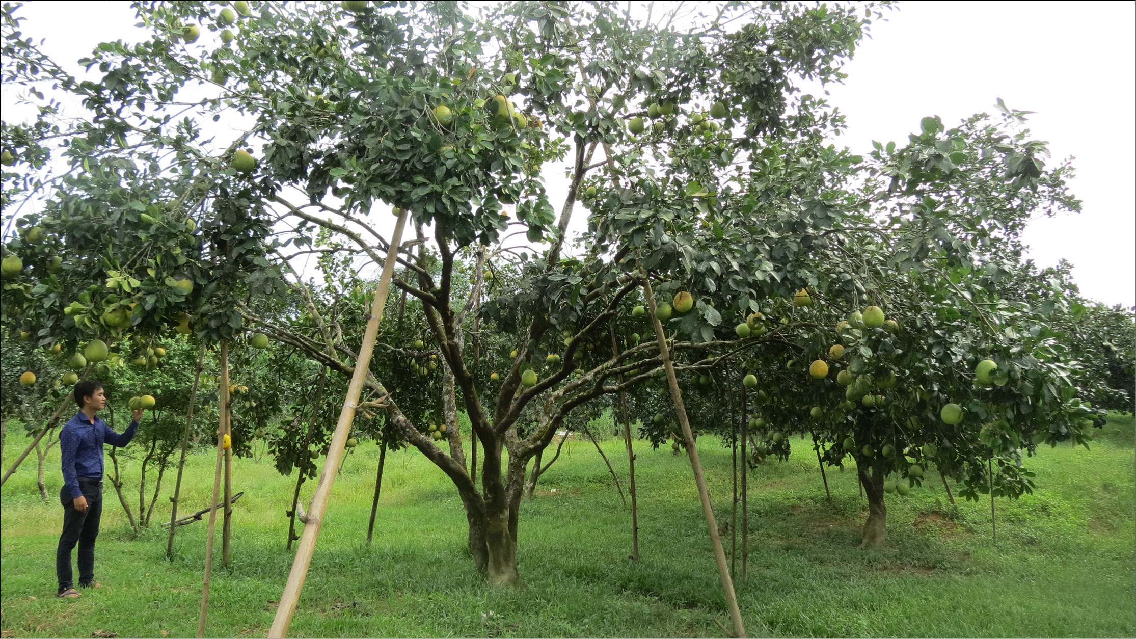 Ngày mới ở Khúc Lý- Ba Lạp