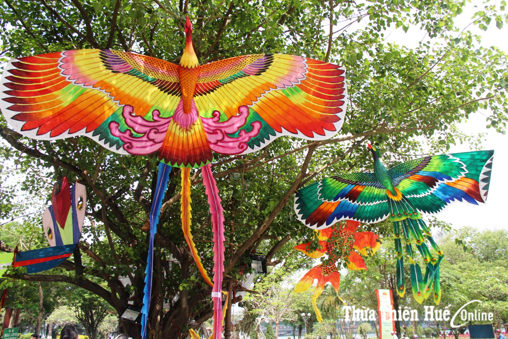Đa sắc diều Huế