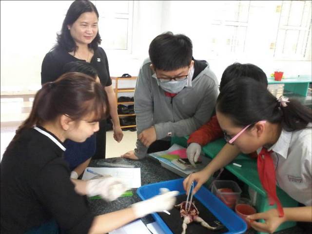 Không nên lạm dụng công nghệ thông tin trong dạy học