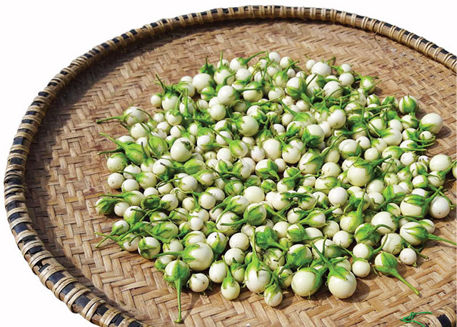 Hũ mắm cà pháo yêu thương