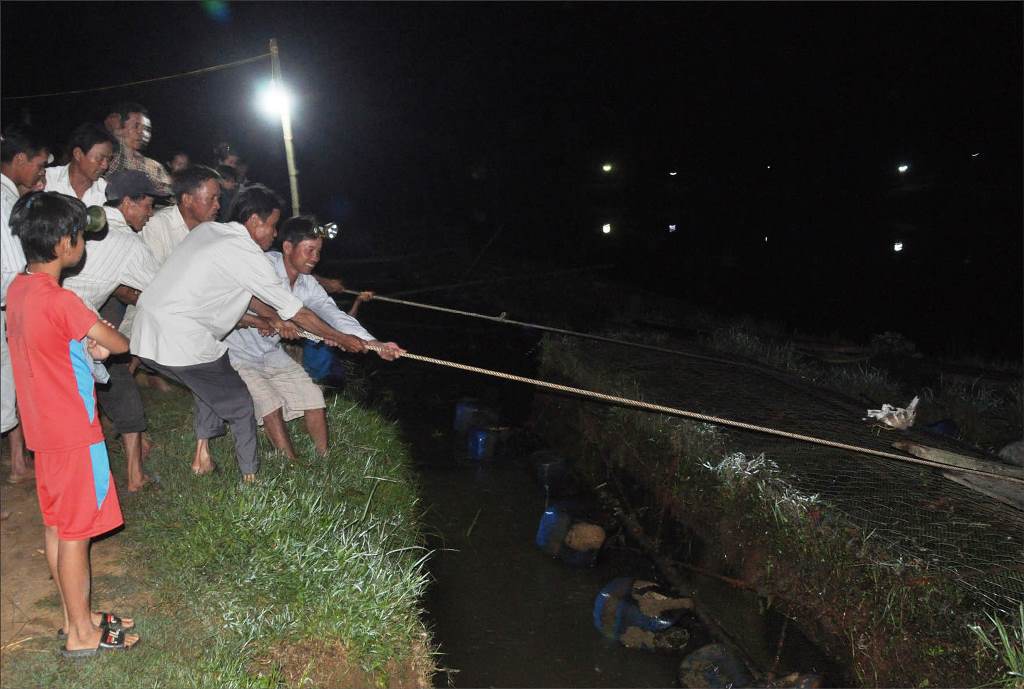 Fish harvest on Bo river by night