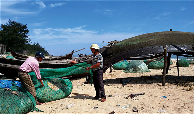 Từ rừng xuống biển