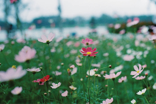 Young people holding time with film cameras