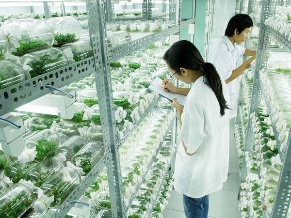 Prime Minister approves project on Bio-technology Institute, Hue University