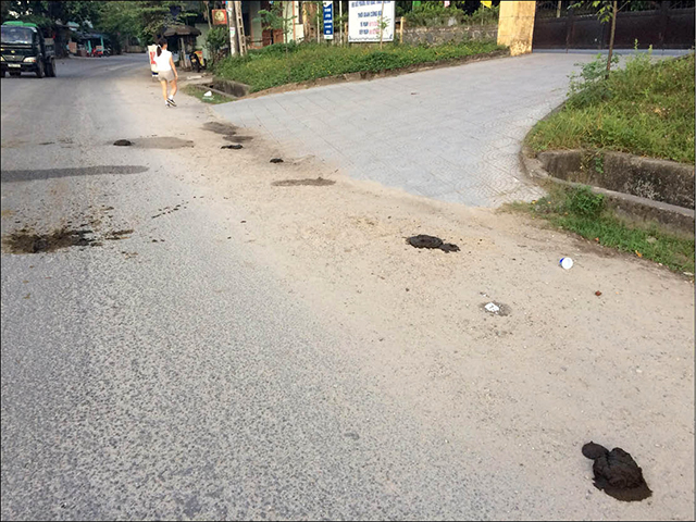 Rứa mà răng chịu được