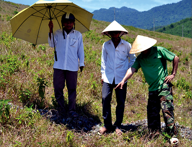 Hiện tượng bình thường