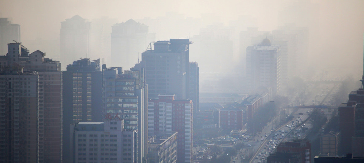 WHO, WMO chung tay chống lại rủi ro môi trường