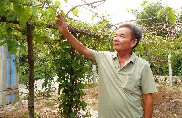 “Dấu chân” thiên lý