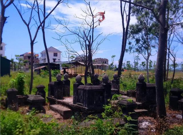 Theo bước gạo de An Cựu