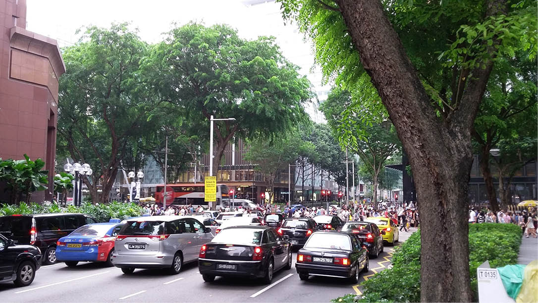 Singapore một nửa đất nước xanh cây