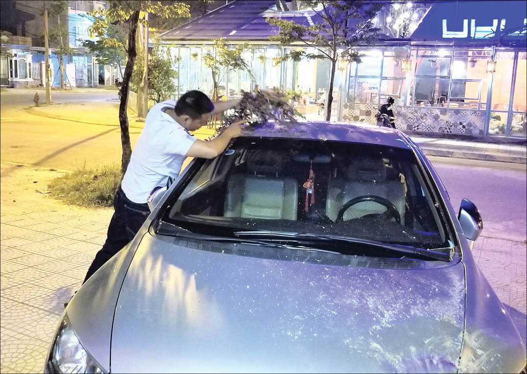 Ẩn họa từ những  chậu hoa